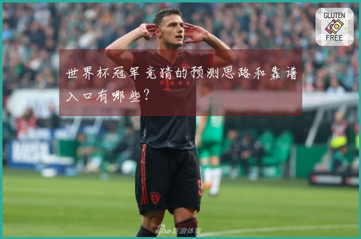 世界杯冠军竞猜的预测思路和靠谱入口有哪些？